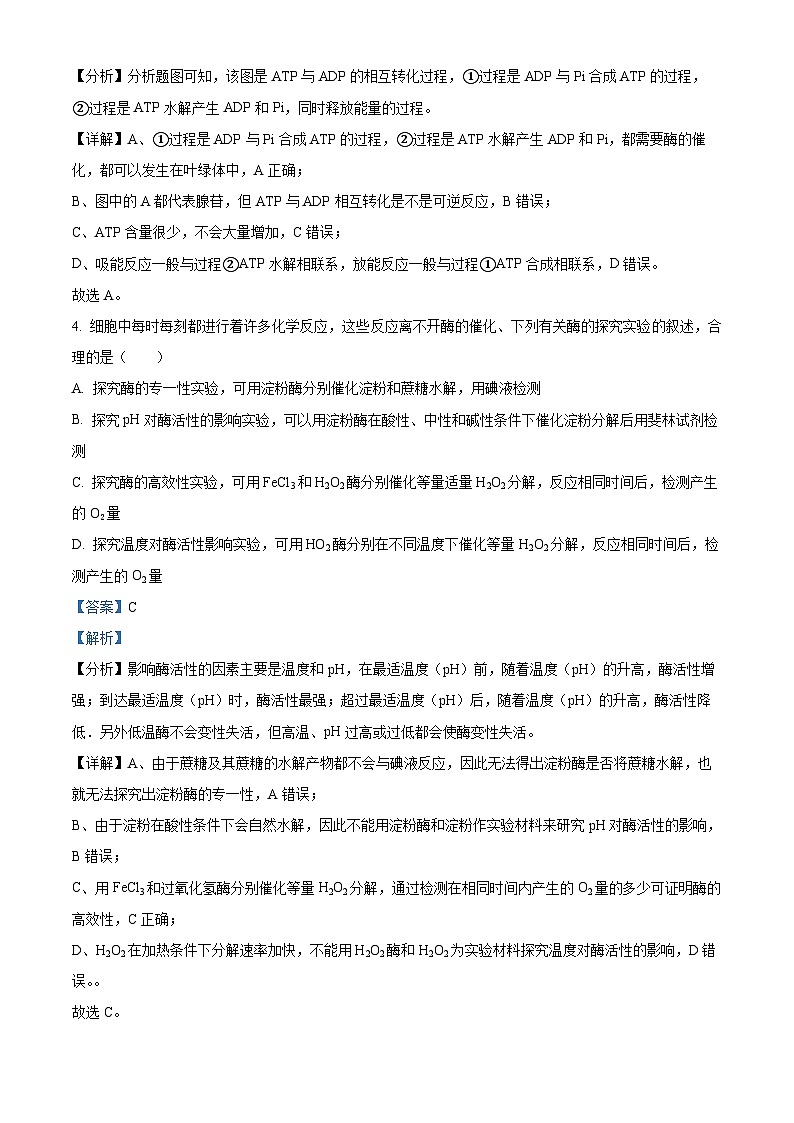 重庆市巴蜀中学2022-2023学年高一生物下学期5月期中试题（Word版附解析）第3页