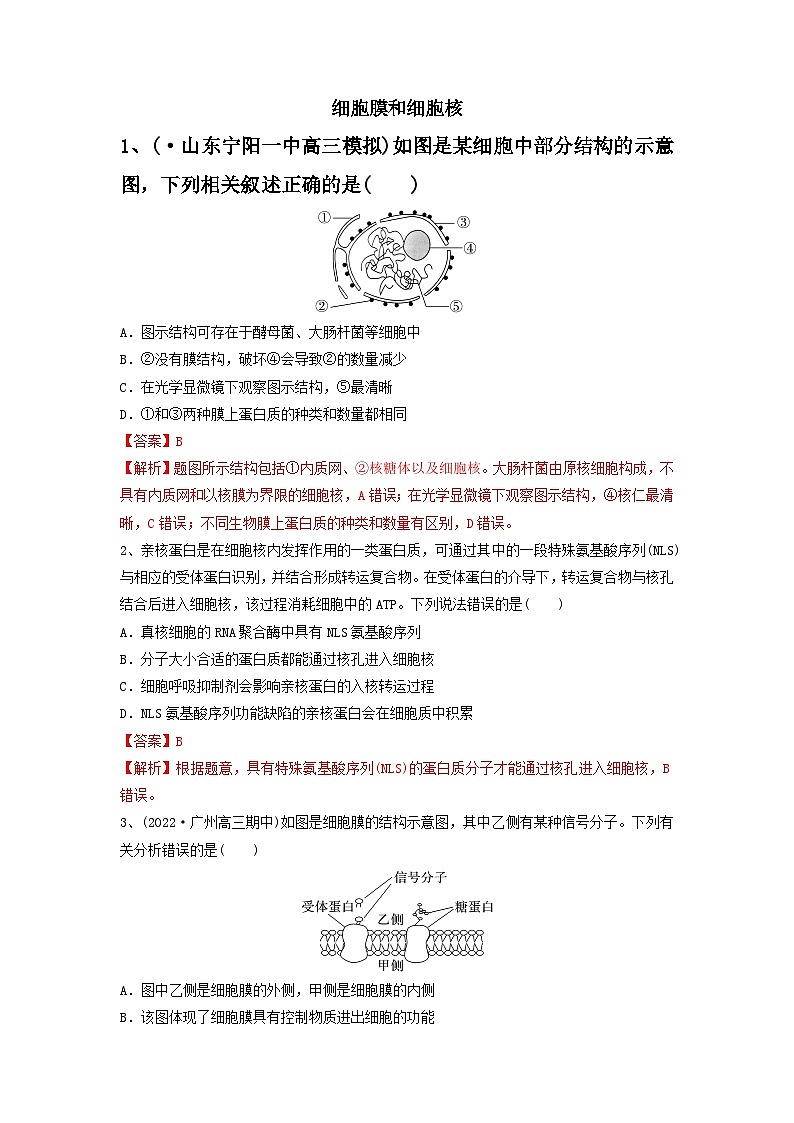 专题04 细胞膜和细胞核（精练）-备战2024高考生物一轮复习串讲精练（新高考专用）01