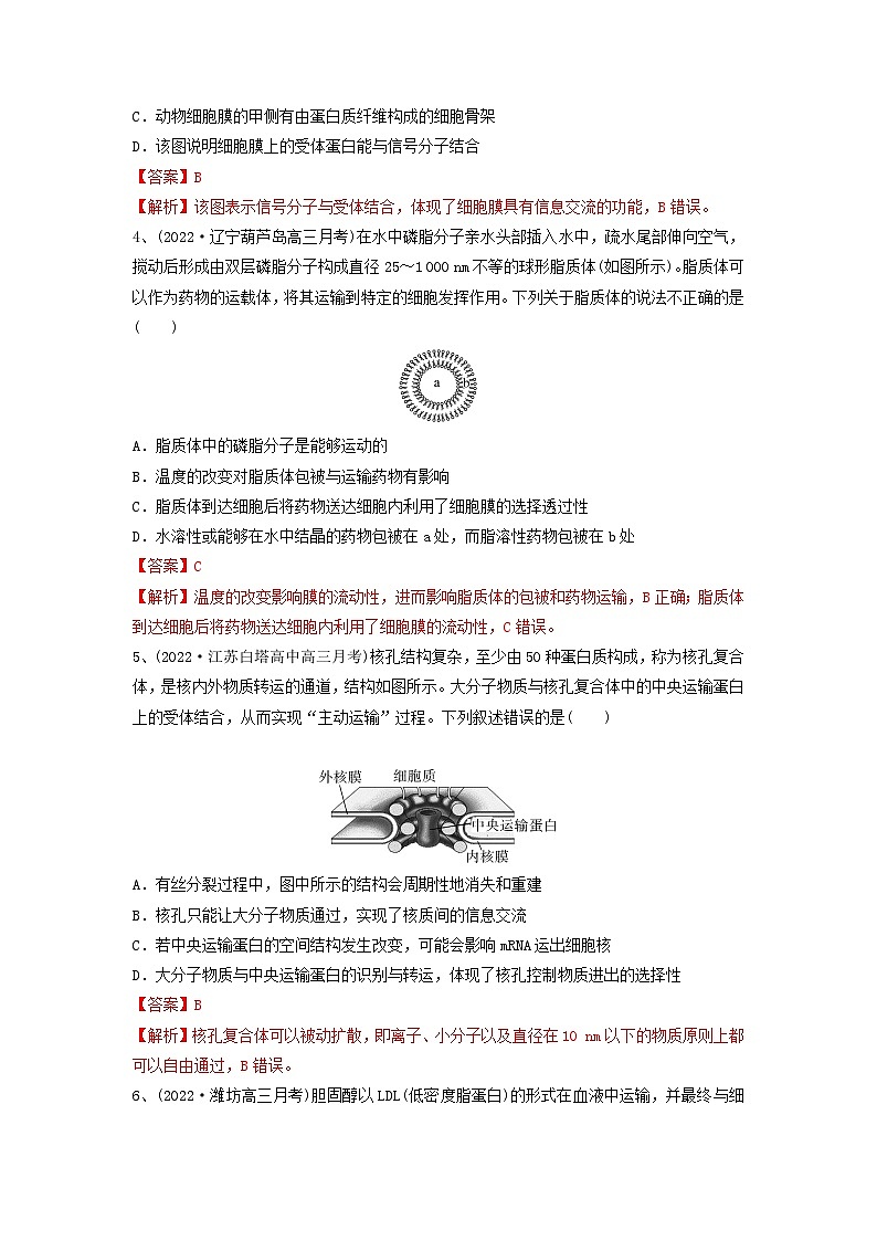 专题04 细胞膜和细胞核（精练）-备战2024高考生物一轮复习串讲精练（新高考专用）02