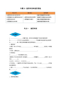 专题20 基因突变和基因重组（串讲）-备战2024高考生物一轮复习串讲精练（新高考专用）