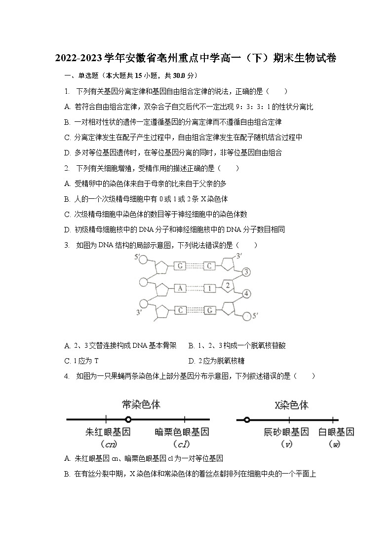 2022-2023学年安徽省亳州重点中学高一（下）期末生物试卷（含解析）第1页