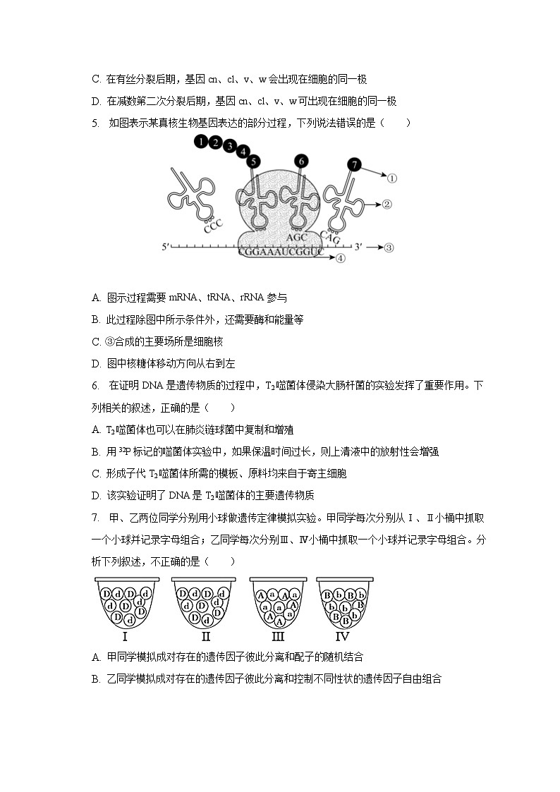 2022-2023学年安徽省亳州重点中学高一（下）期末生物试卷（含解析）第2页