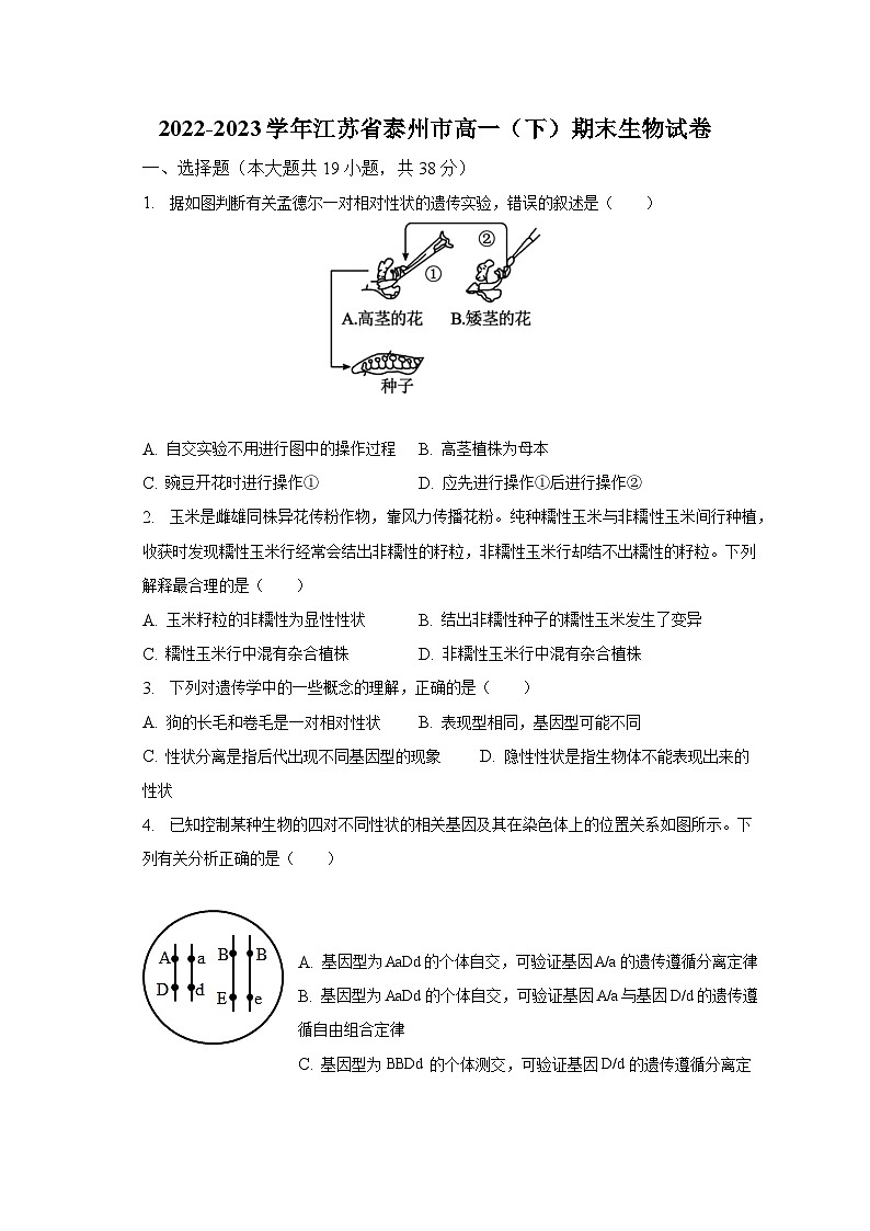 2022-2023学年江苏省泰州市高一（下）期末生物试卷（含解析）第1页