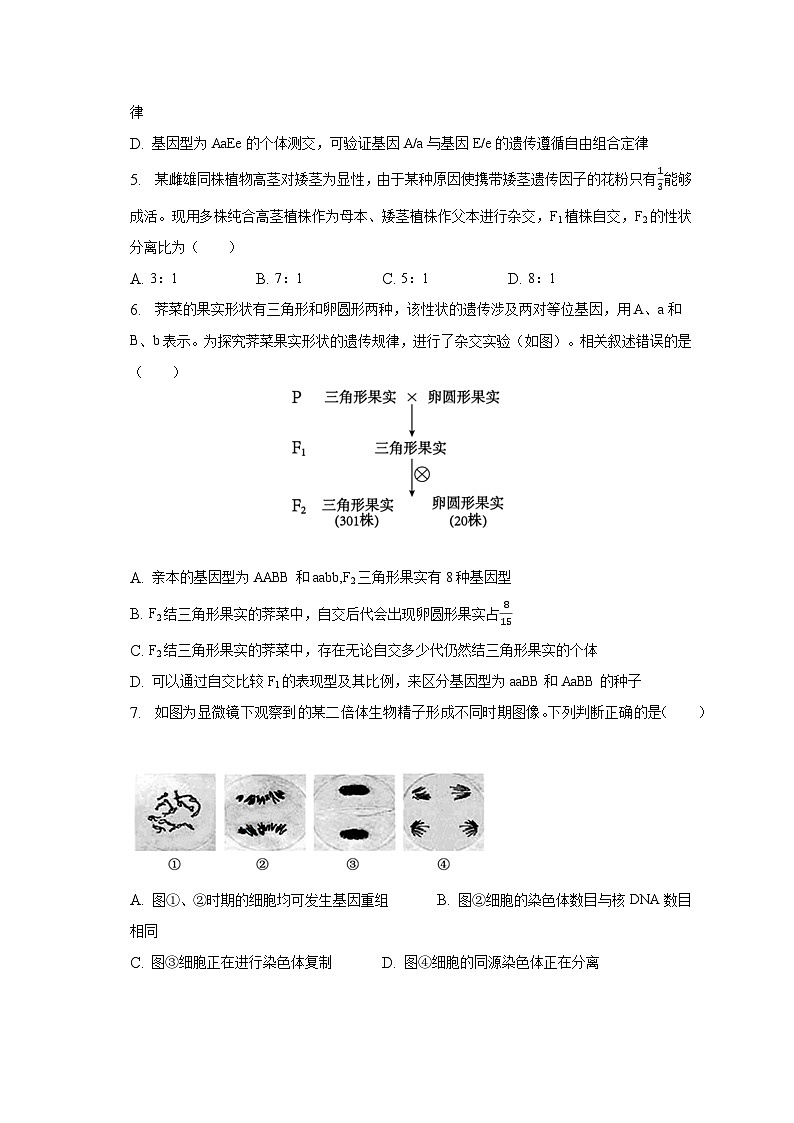2022-2023学年江苏省泰州市高一（下）期末生物试卷（含解析）第2页