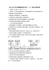 2022-2023学年福建省漳州市高二（下）期末生物试卷（含解析）