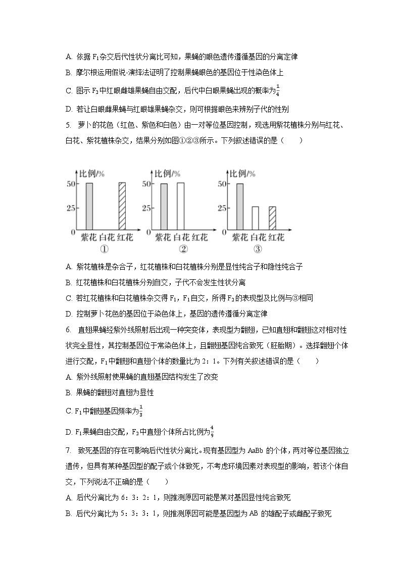 2022-2023学年广东省河源市龙川重点中学高一（下）期末生物试卷（含解析）第2页