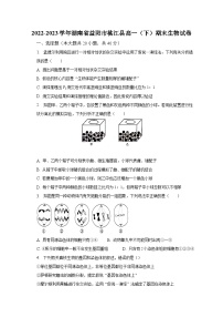 2022-2023学年湖南省益阳市桃江县高一（下）期末生物试卷（含解析）