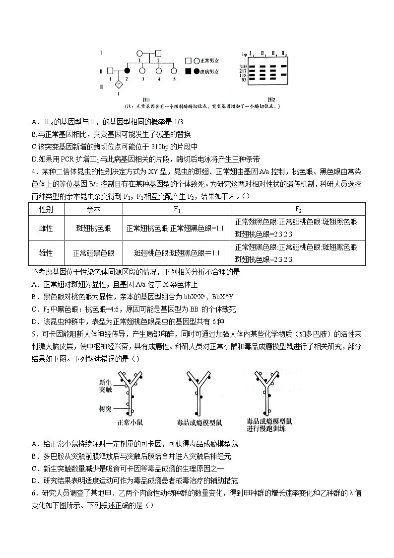 安徽省合肥市肥西县2022—2023学年高二下学期期末生物试题（含答案）02