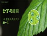 高中生物人教版（2019）必修1第一章1.2《细胞的多样性和统一性》课件+同步练习