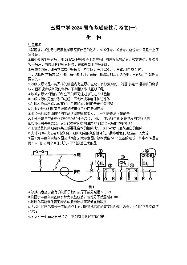 重庆市巴蜀中学2024届高三生物上学期适应性月考卷（一）（Word版附解析）01