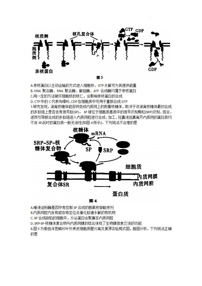 重庆市巴蜀中学2024届高考适应性月考卷（一）生物第3页