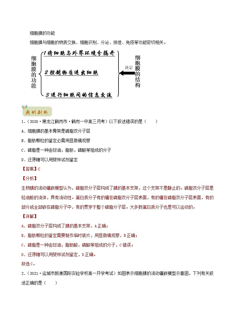 初升高暑期衔接2023高一生物精讲精练专题06细胞膜的结构和功能02