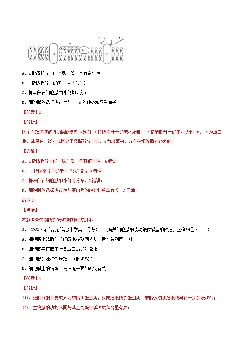 初升高暑期衔接2023高一生物精讲精练专题06细胞膜的结构和功能03