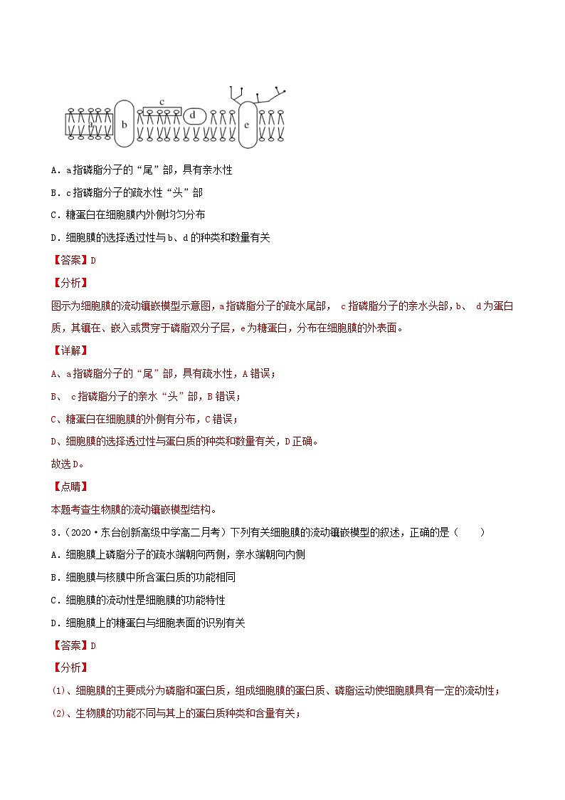 初升高暑期衔接2023高一生物精讲精练专题06细胞膜的结构和功能03