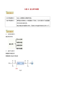 初升高暑期衔接2023高一生物精讲精练专题05蛋白质和核酸