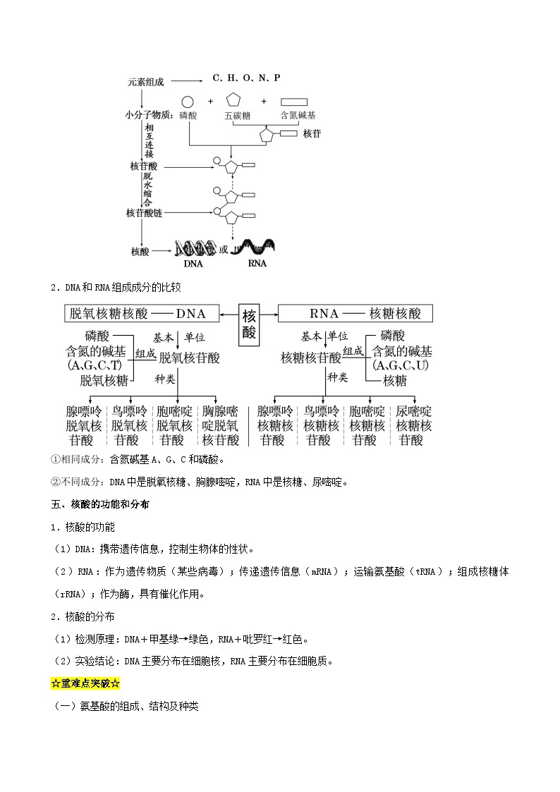 暑期预习2023高中生物专题01蛋白质与核酸知识精讲新人教版必修103