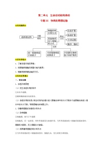 暑期预习2023高中生物专题06物质的跨膜运输知识精讲新人教版必修1