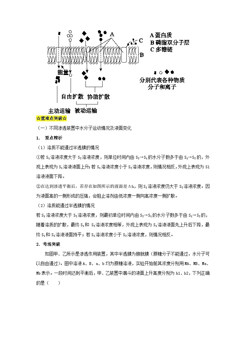 暑期预习2023高中生物专题06物质的跨膜运输知识精讲新人教版必修1第3页