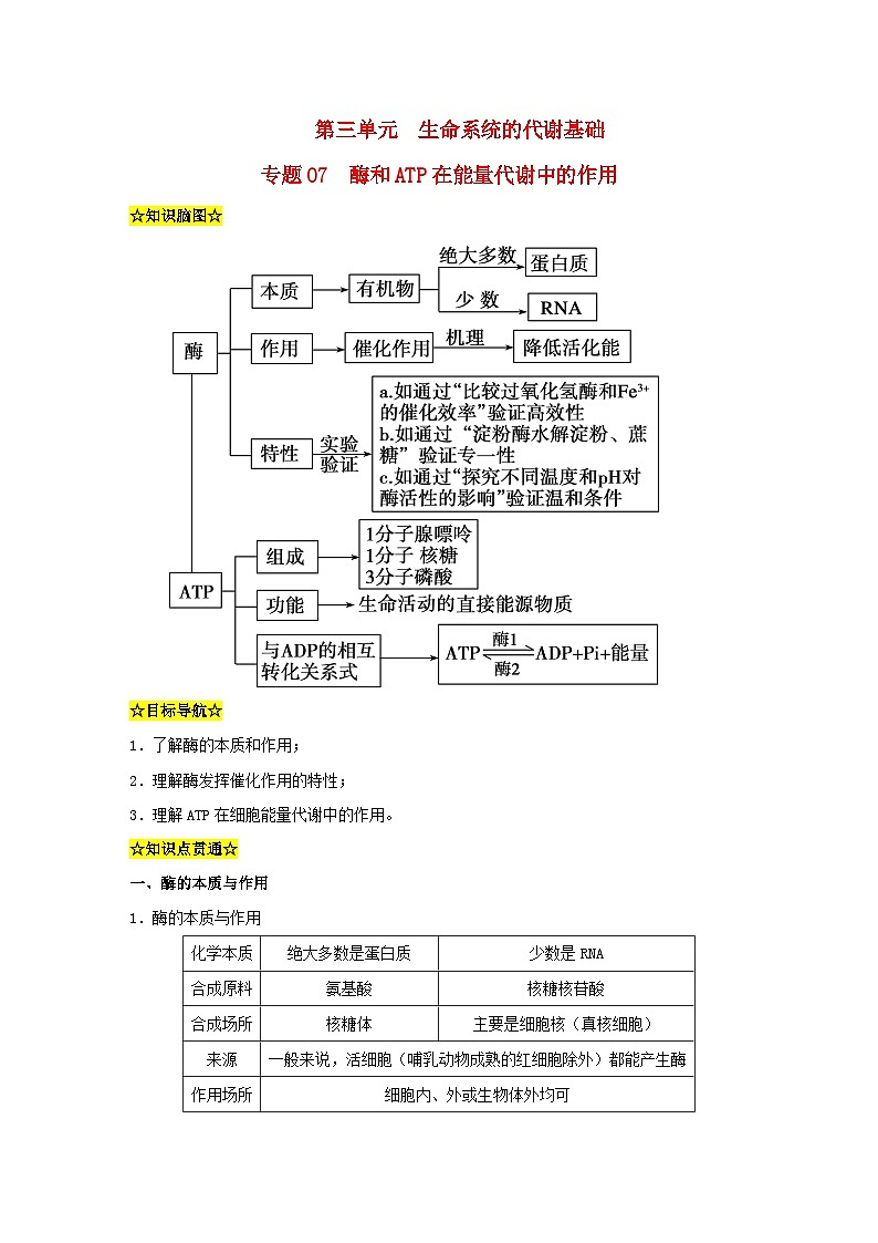 暑期预习2023高中生物专题07酶和ATP在能量代谢中的作用知识精讲新人教版必修101