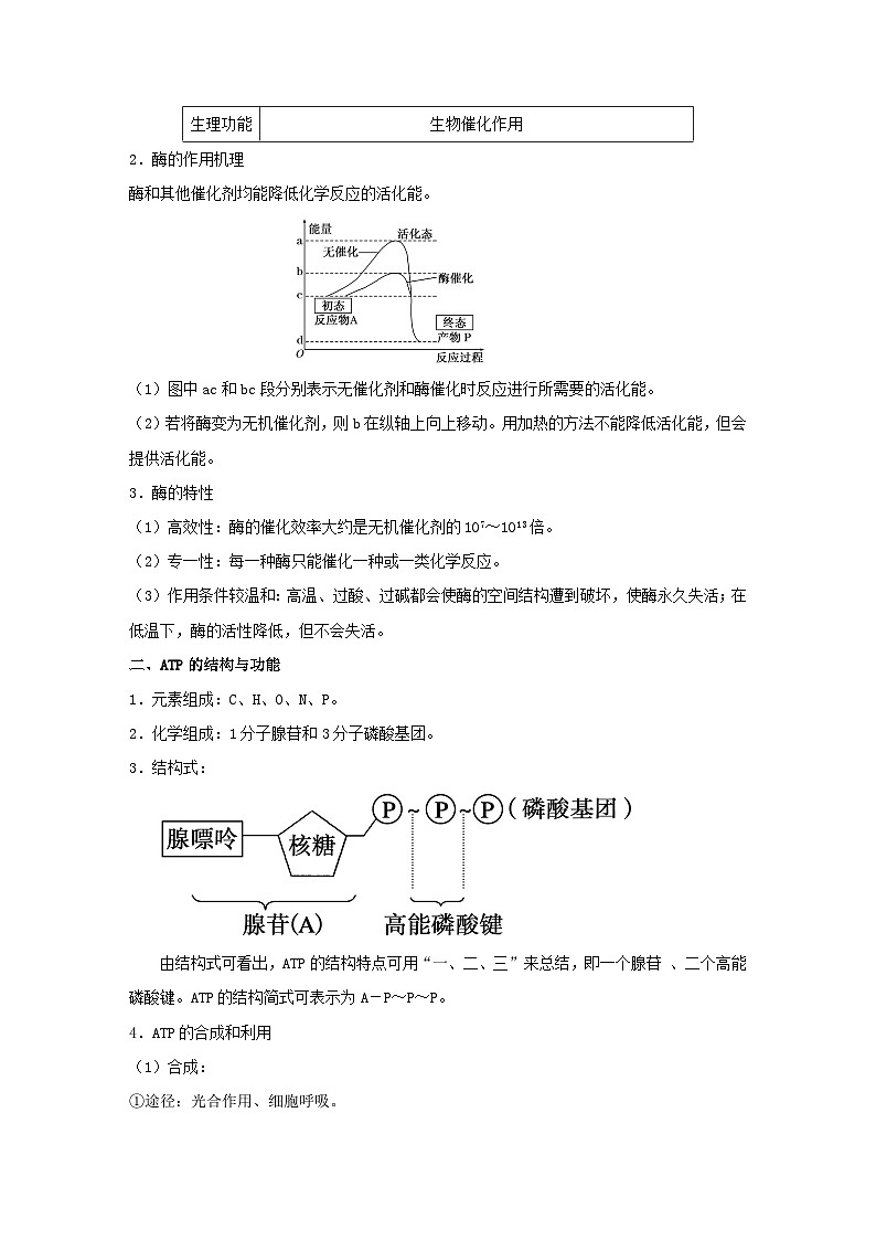 暑期预习2023高中生物专题07酶和ATP在能量代谢中的作用知识精讲新人教版必修102