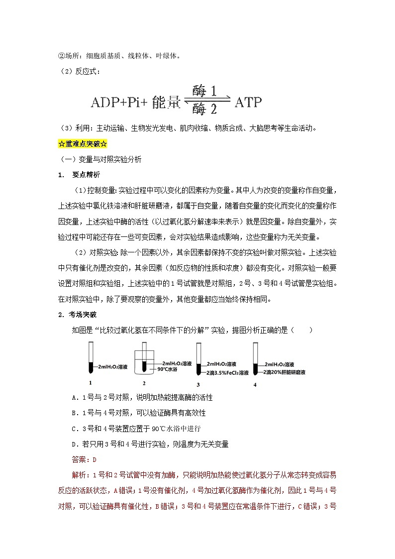 暑期预习2023高中生物专题07酶和ATP在能量代谢中的作用知识精讲新人教版必修103
