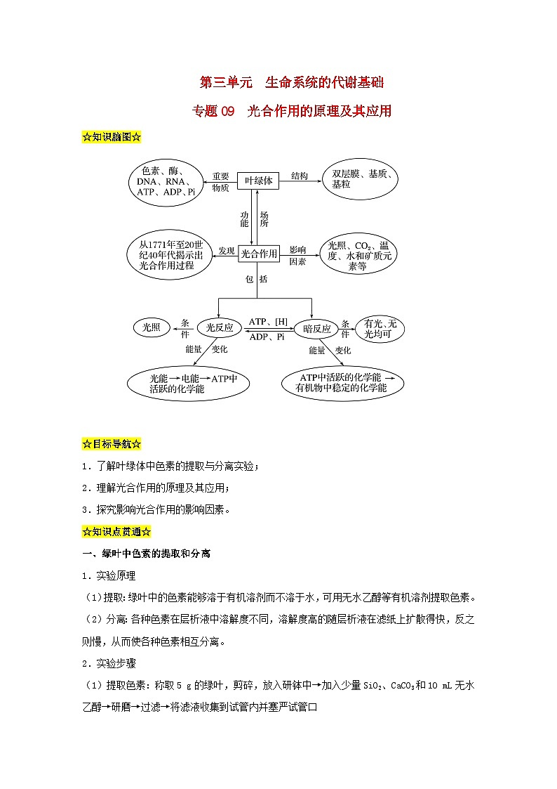 暑期预习2023高中生物专题09光合作用的原理及其应用知识精讲新人教版必修1第1页