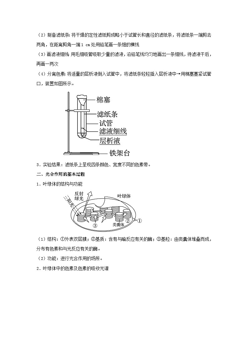 暑期预习2023高中生物专题09光合作用的原理及其应用知识精讲新人教版必修1第2页