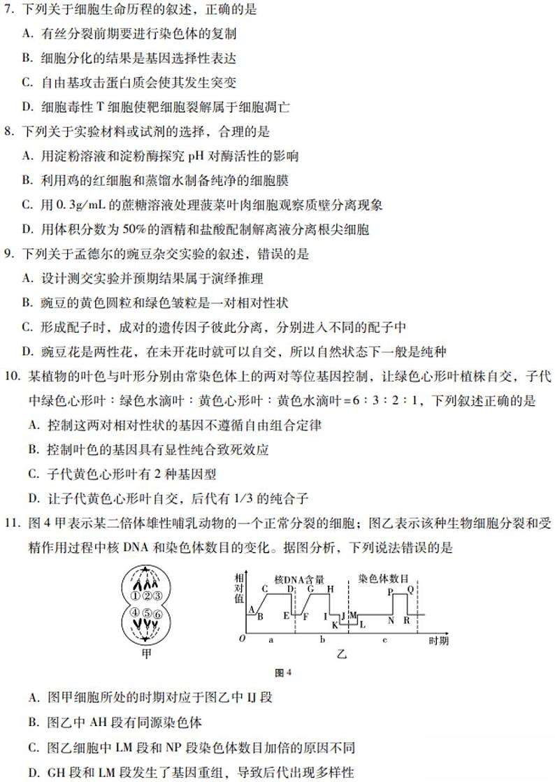 云南省部分重点高中2024届高三上学期联考生物试卷（一）（附答案）03