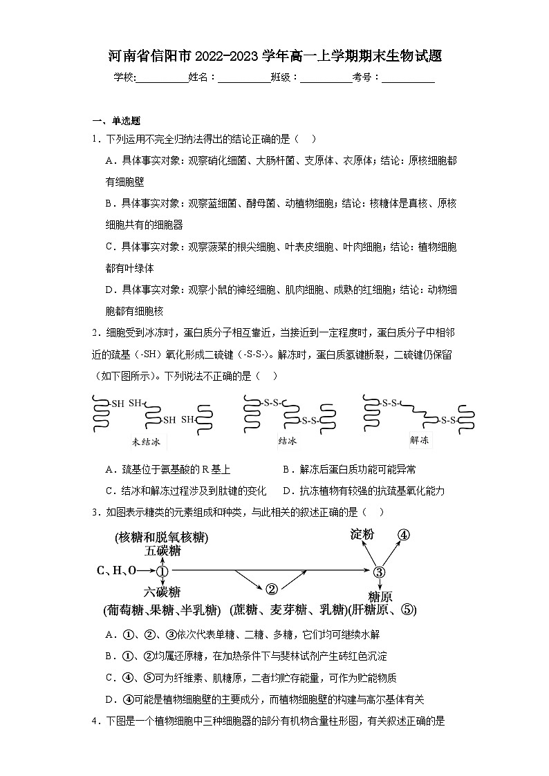 河南省信阳市2022-2023学年高一上学期期末生物试题01