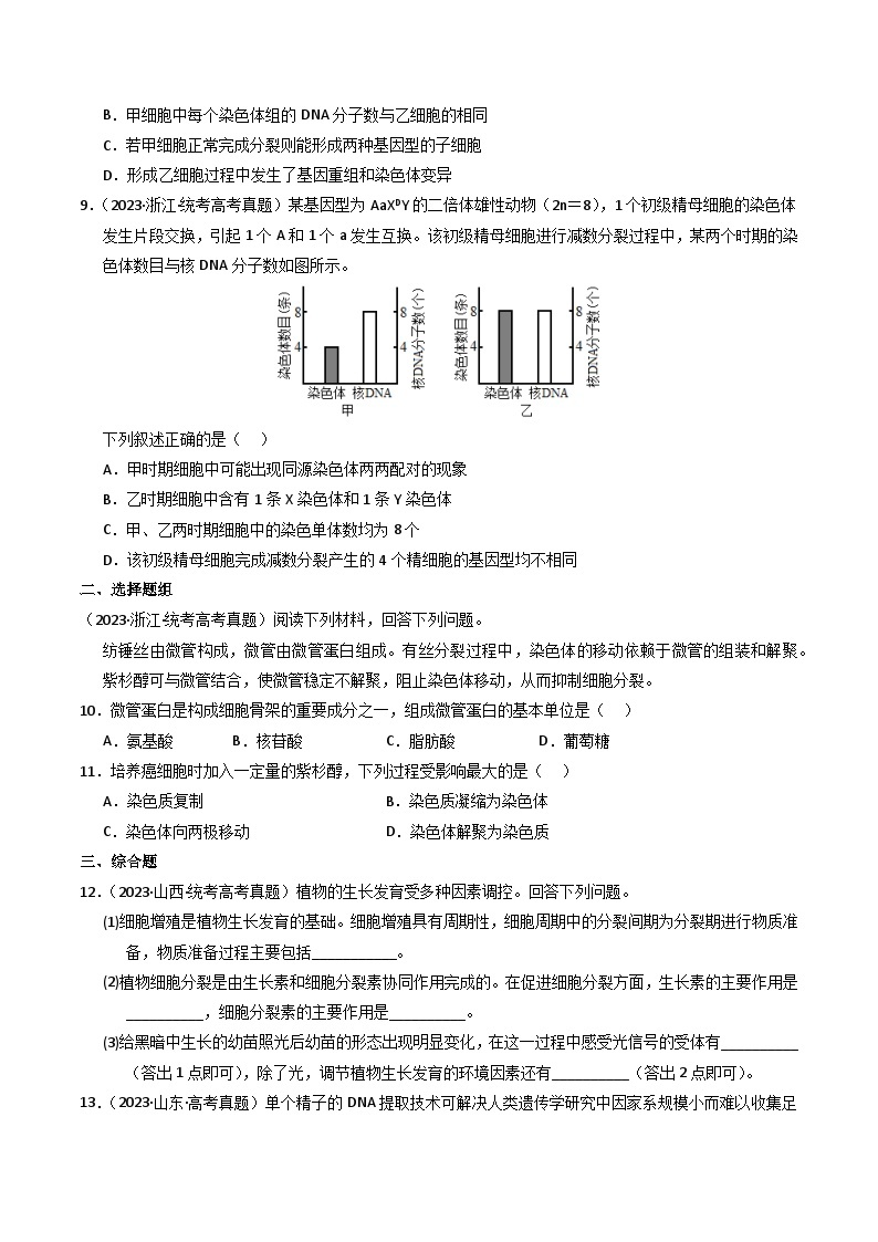 2023年高考真题和模拟题生物分项汇编（全国通用）专题04+有丝分裂和减数分裂03