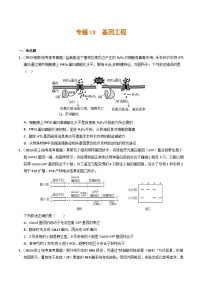 2023年高考真题和模拟题生物分项汇编（全国通用）专题18+基因工程