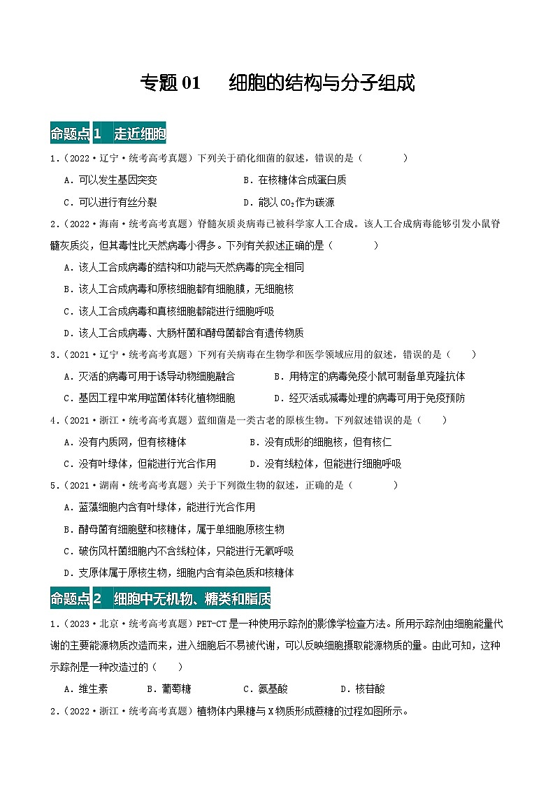高考生物真题分项汇编 三年（2021-2023）（全国通用）专题01+细胞的结构与分子组成01