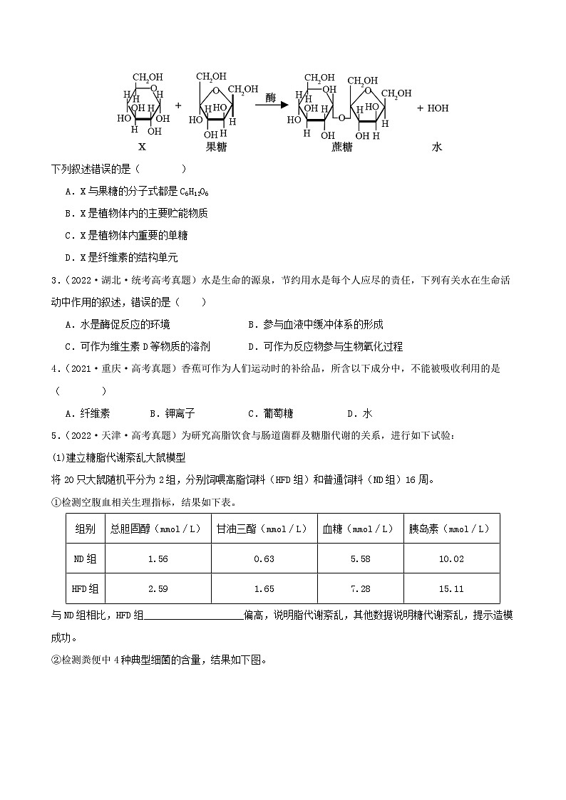 高考生物真题分项汇编 三年（2021-2023）（全国通用）专题01+细胞的结构与分子组成02