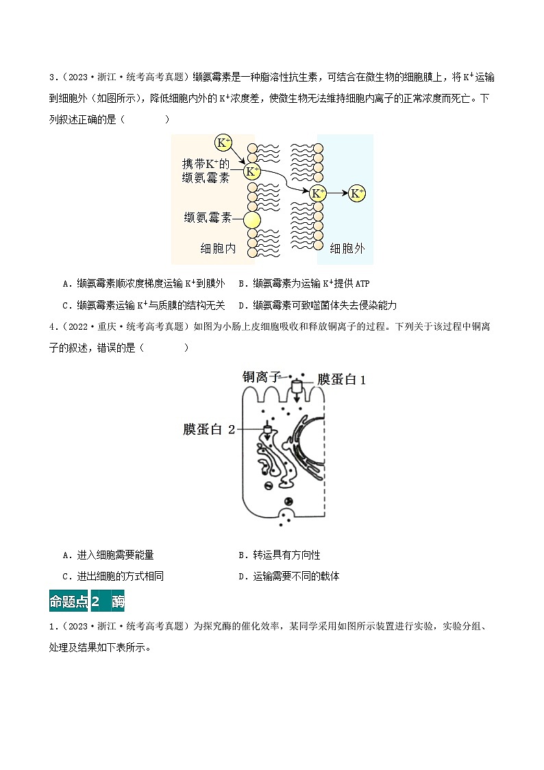 高考生物真题分项汇编 三年（2021-2023）（全国通用）专题02+物质进出细胞、酶和ATP02