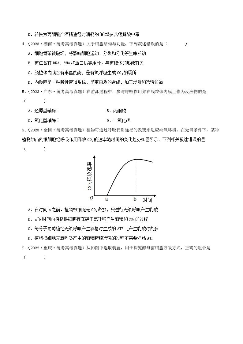 高考生物真题分项汇编 三年（2021-2023）（全国通用）专题03+细胞呼吸与光合作用02