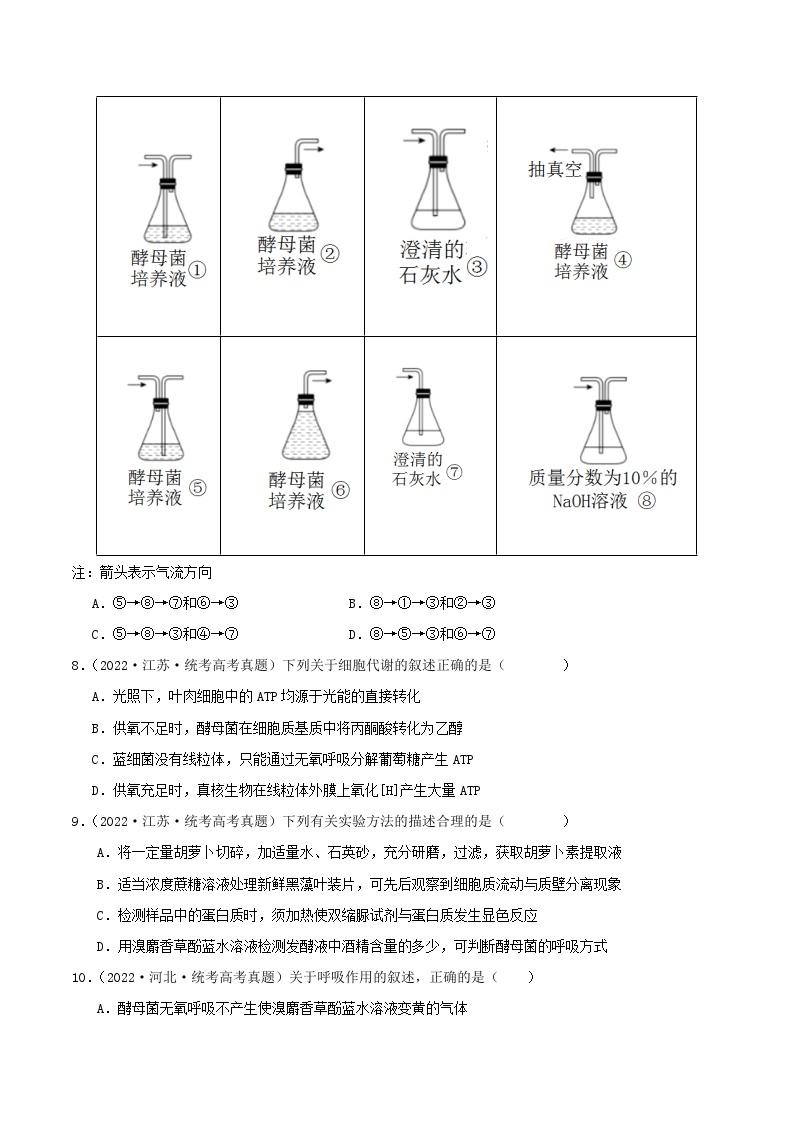 高考生物真题分项汇编 三年（2021-2023）（全国通用）专题03+细胞呼吸与光合作用03