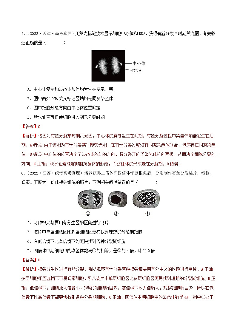 高考生物真题分项汇编 三年（2021-2023）（全国通用）专题04+有丝分裂和减数分裂03