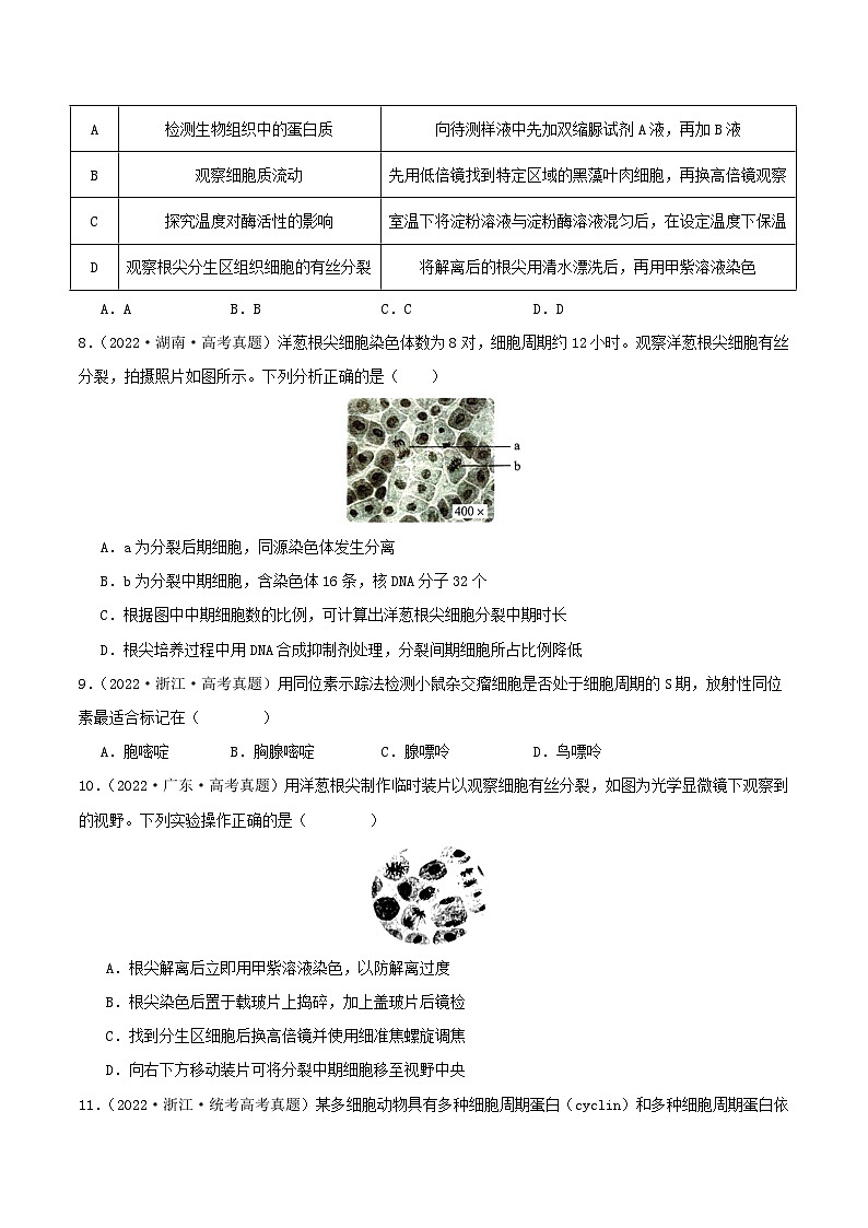 高考生物真题分项汇编 三年（2021-2023）（全国通用）专题04+有丝分裂和减数分裂03