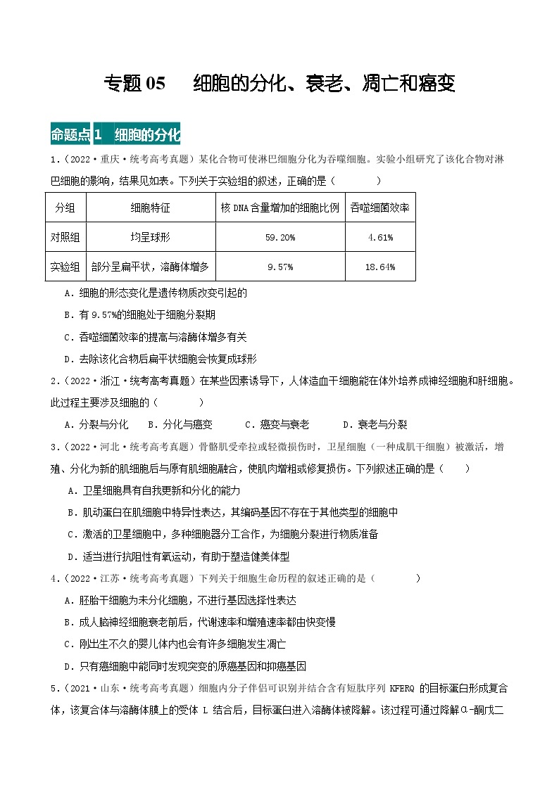 高考生物真题分项汇编 三年（2021-2023）（全国通用）专题05+细胞的分化、衰老、凋亡和癌变01