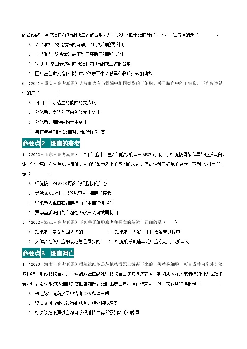 高考生物真题分项汇编 三年（2021-2023）（全国通用）专题05+细胞的分化、衰老、凋亡和癌变02