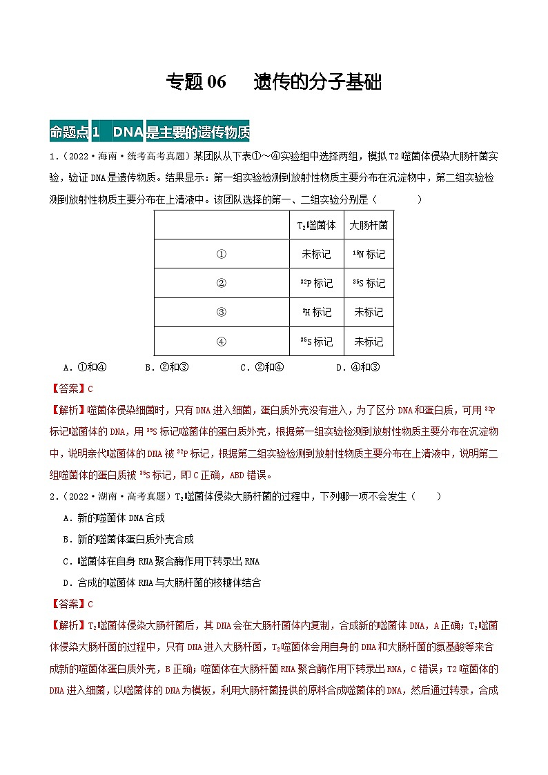 高考生物真题分项汇编 三年（2021-2023）（全国通用）专题06+遗传的分子基础01