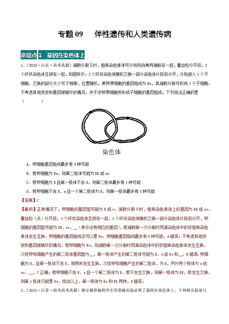 高考生物真题分项汇编 三年（2021-2023）（全国通用）专题09+伴性遗传和人类遗传病01