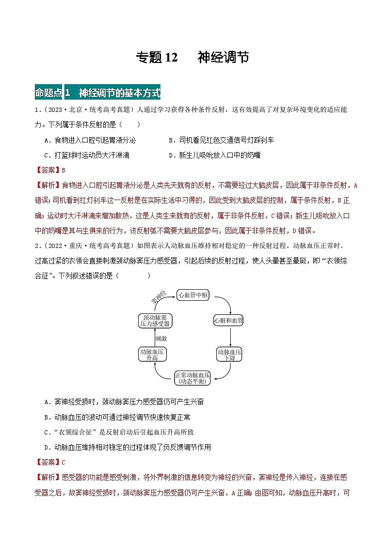 高考生物真题分项汇编 三年（2021-2023）（全国通用）专题12+神经调节01