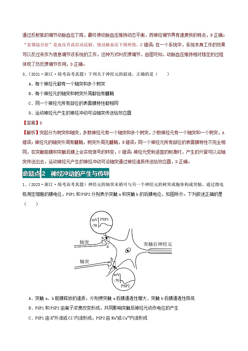 高考生物真题分项汇编 三年（2021-2023）（全国通用）专题12+神经调节02