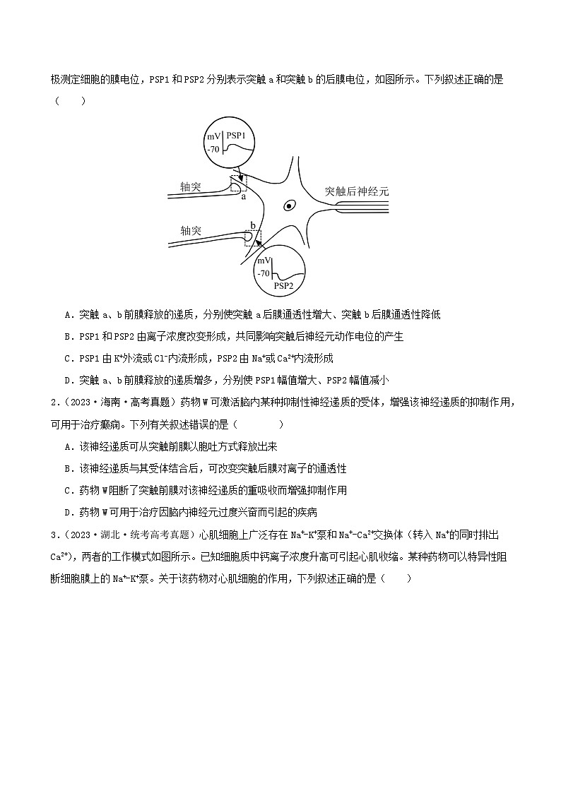 高考生物真题分项汇编 三年（2021-2023）（全国通用）专题12+神经调节02