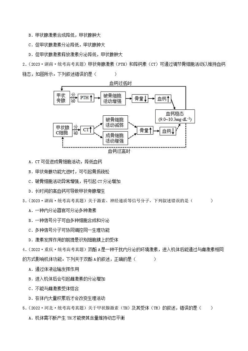 专题13 体液调节（原卷版）第2页