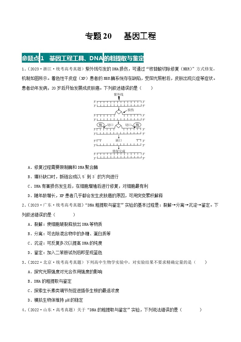 高考生物真题分项汇编 三年（2021-2023）（全国通用）专题20+基因工程01