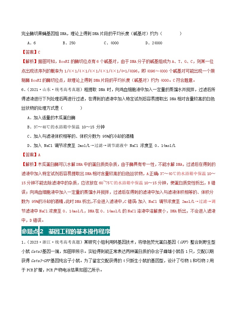 高考生物真题分项汇编 三年（2021-2023）（全国通用）专题20+基因工程03