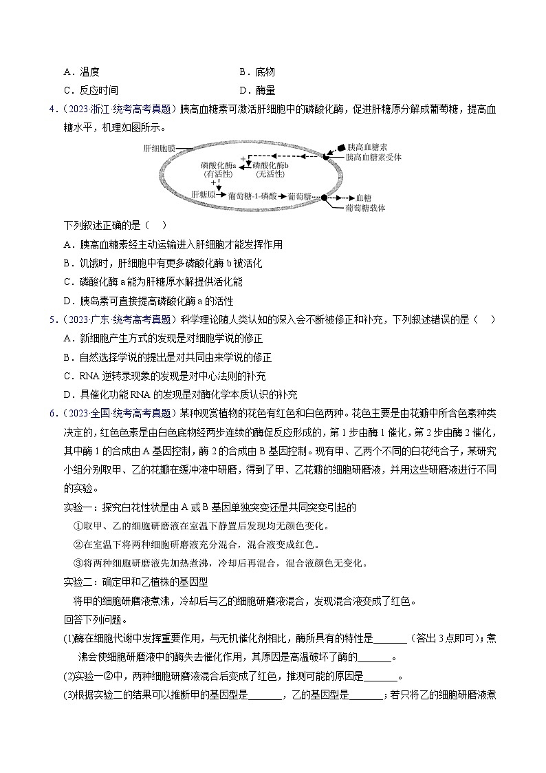 高考生物真题分项汇编（全国通用）五年（2019-2023）专题04 酶和ATP02
