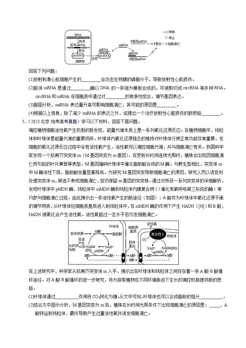 专题07 细胞得分化、衰老、凋亡及癌变-学易金卷：五年（2019-2023）高考生物真题分项汇编（全国通用）（原卷版）第2页